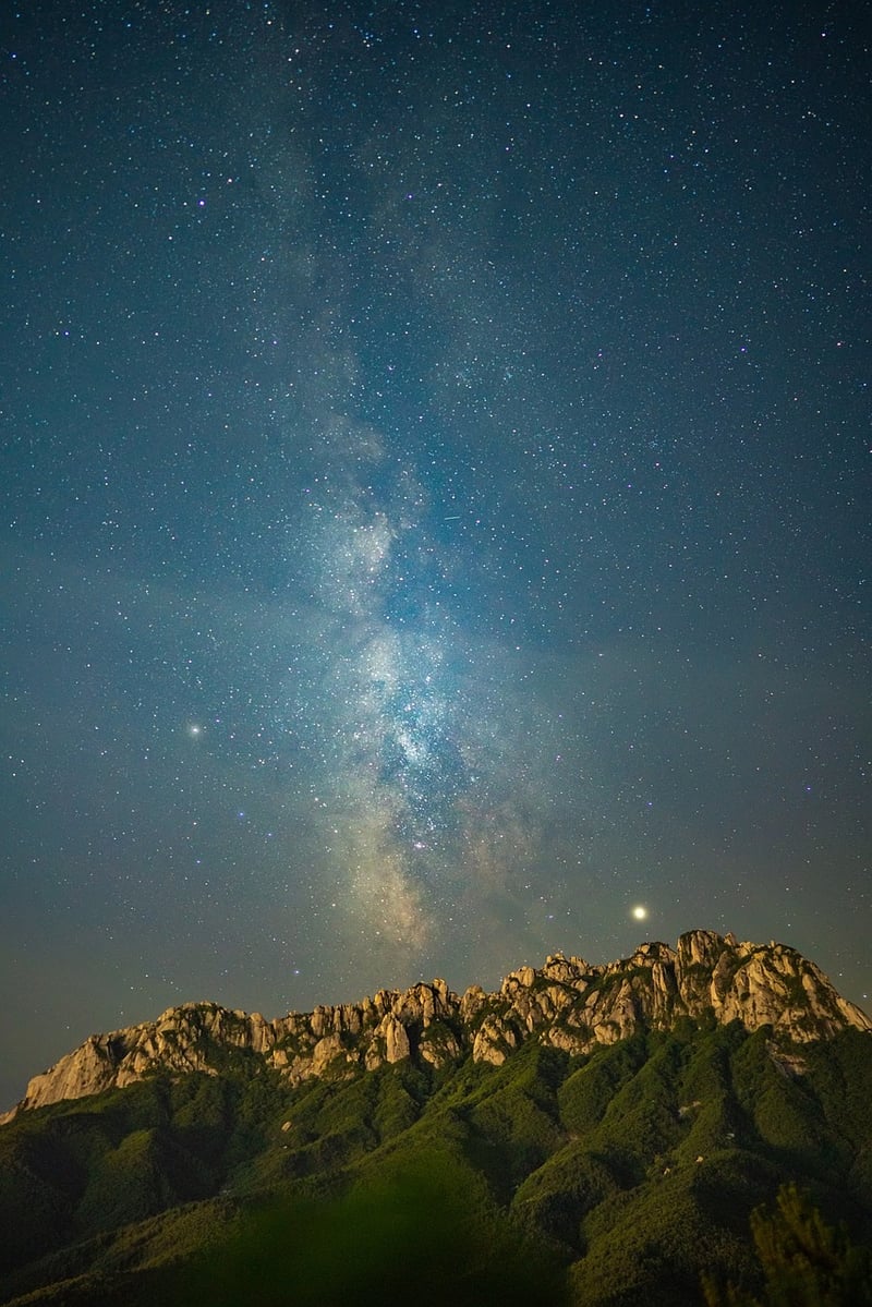 Moonlit Magic